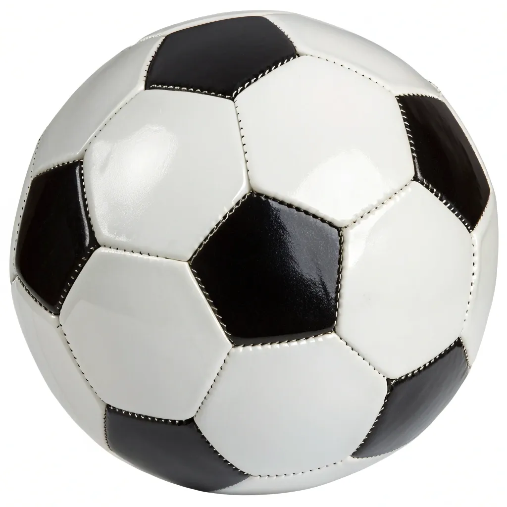 Professional soccer ball with black and white panels